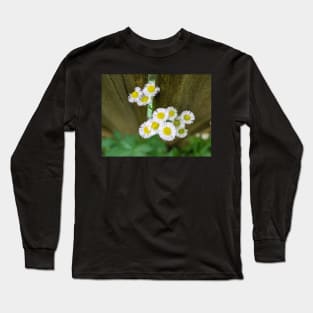 Cluster of White Flowers by Fence 2 Long Sleeve T-Shirt